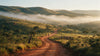 Estrada de terra na Serra da Canastra com cavaleiros